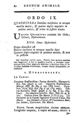 Ordo IX. Quadrupeda Dentibus incisoribus in utraque maxilla duobus, & quatuor digitis ungulatis in pedibus anticis, & tribus in posticis donata