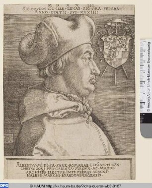 Kardinal Albrecht von Brandenburg (Der große Kardinal)
