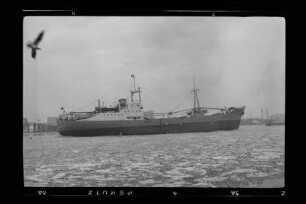 Lucie Schulte (1954), Schulte & Bruns, Emden
