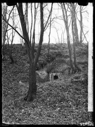 Hirschfelde: Stollnmundl. Fr.-Wilhelm, Gießmannsdorf.