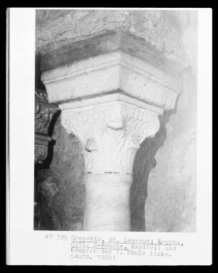 Pflanzliche Ornamente