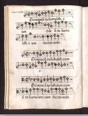 Hubertus Waelrandus : Domine si tu sustulisti