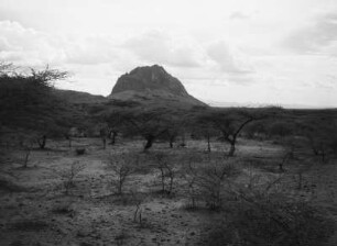 Amba Toquile : Blick auf den Amba Toquile, in der Hasamo Ebene in Eritrea