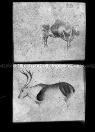 Darstellungen von zwei Rindern und einem Hirsch