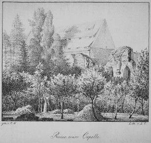 Altzella bei Nossen, Ruine einer Kapelle, Ruine des Sommerrefektoriums und Konversenhaus