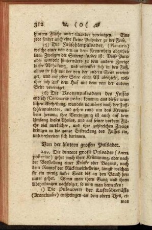 Von der hintern grossen Pulsader. - Von der Pfortader.