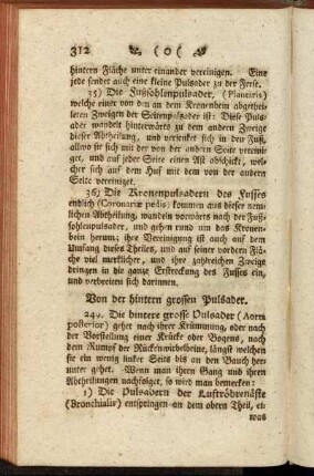 Von der hintern grossen Pulsader. - Von der Pfortader.