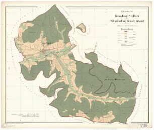 Seelbach (OG) und die Waldgemarkung Großer Grassert