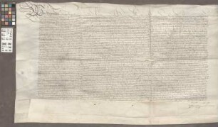 Mainz (Generalia): Confirmatio et Conservatio Privilegiorum et Jurium Cleri Mog. a Maximilano Imperatore