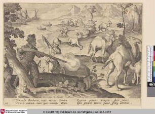 [Dromedarjagd; Dromedary hunt]