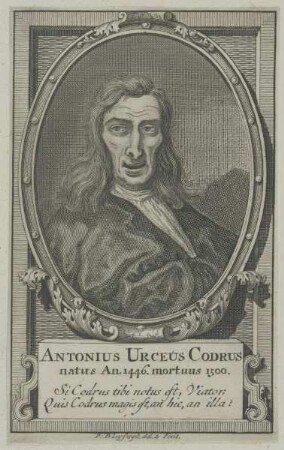 Bildnis des Antonius Urceus Codrus