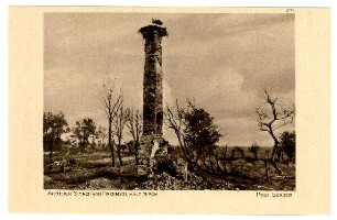 Der Krieg 1914/15 in Postkarten, 28. Reihe, Abt.: Österreich-Ungarn; Inhalt: Przemysl: Nr. 271: Auch der Storch von Przemysl hält durch