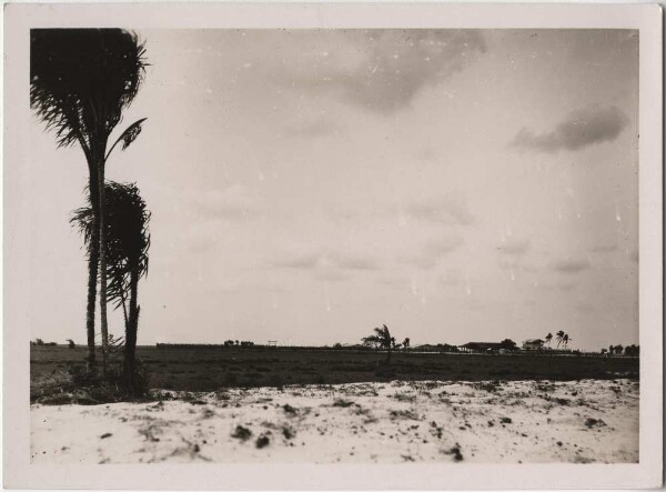 Fazenda in der Steppe (Film: "Urwelt im Urwald")