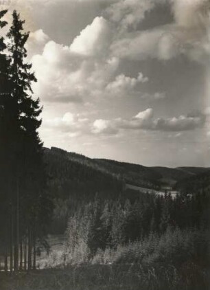 Osterzgebirge. Mordgrund, Naturschutzgebiet Bienhof bei Oelsen