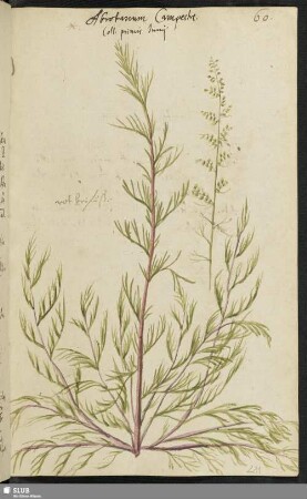 [Blatt 221-240]