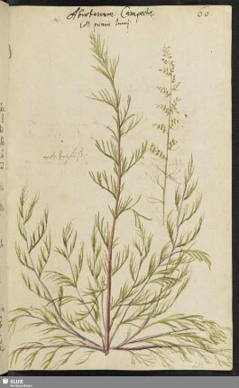 [Blatt 221-240]