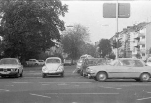Baumbestand in der Reinhold-Frank-Straße