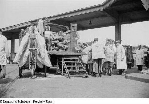 Entladen eines Lastkraftwagens mit Schweinehälften