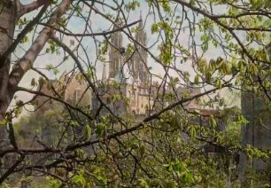 Meißen. Burgberg mit Albrechtsburg (1471-1500) und Dom (beg. um 1260), im Vordergrund Kastanienbaum