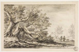 Landschaft mit gestürztem Baum