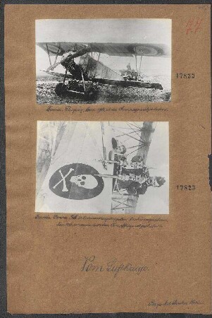 Französischer "Farman"-Doppeldecker mit zusammengekuppelten Maschinengewehren, November 1916 von einem deutschen Kampfflieger abgeschossen