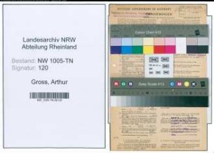 Entnazifizierung Arthur Gross , geb. 03.01.1900 (Malermeister)