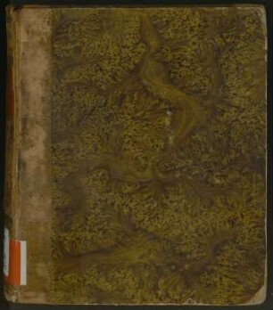 Iohannis Zonarae Lexicon Ex Tribvs Codicibvs Manvscriptis. [Bd. 1]