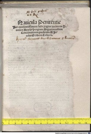 Navicula penitentie
