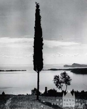 Gardasee. Oberhalb Gardone-sopra