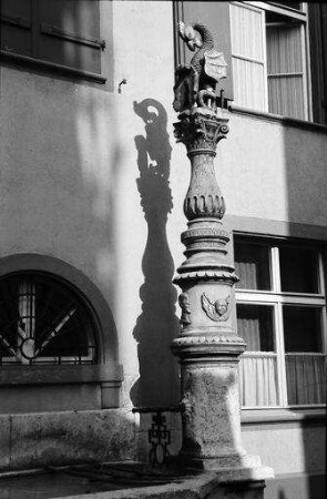 Basel: Basilisken-Brunnen am Rheinsprung, Detail mit Schatten