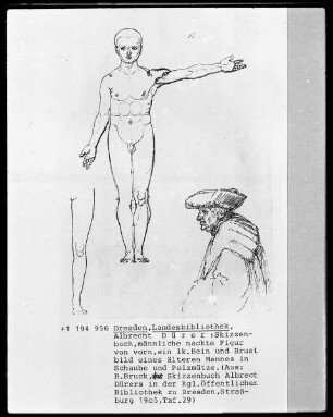 Dresdner Skizzenbuch — Männliche nackte Figur von vorn, ein linkes Bein und Brustbild eines älteren Mannes in Schaube und Pelzmütze