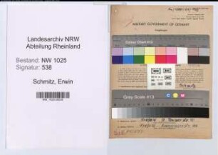 Entnazifizierung Erwin Schmitz , geb. 01.05.1905 (Polsterer)