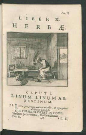 Liber X. Herbae.