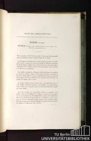 Traité des arbres fruitiers. Poire d'ange. Pyrus angeli, fructu crassitudinis mediae, turbinato, obtuso e viridi flavescente, argutè punctato, aestivo.