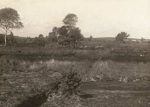 Oberschwaben. Schussenrieder Moor