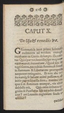 Caput X. De Usu & remediis Irae.