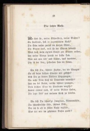 Die letzte Rose