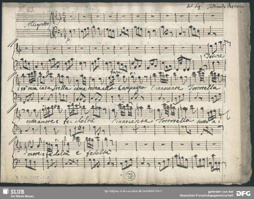Tornerò mia cara stella - Mus.3125-F-8 : A, orch