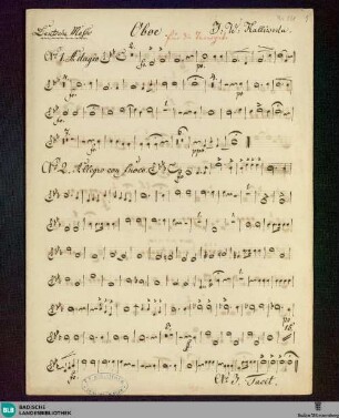 Masses - Don Mus.Ms. 871 : StrK WoO 6.08a