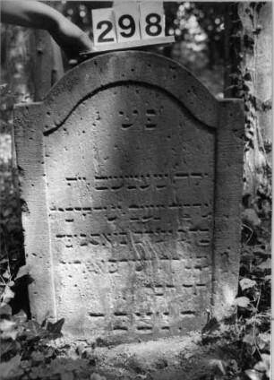 Grabstein 298 (Index: 99803453) Material: Sandstein Maße HxBxT: 76x55x11 cm Beschreibung: Stele mit Karniesbogen, profilierter Rand: Grabstein 298