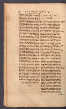 Caput II. De Fele.
