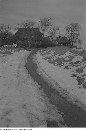 Gebäude in Dierhagen oder Ahrenshoop