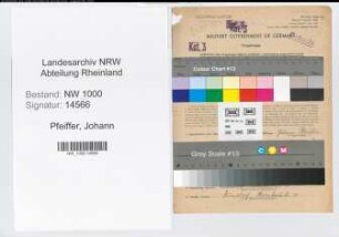 Entnazifizierung Johann Pfeiffer, geb. 07.02.1889 (Vers.Angest.)
