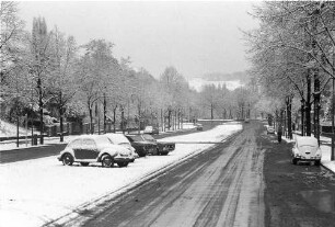 Berlin: Reichssportfeld Straße im Schnee