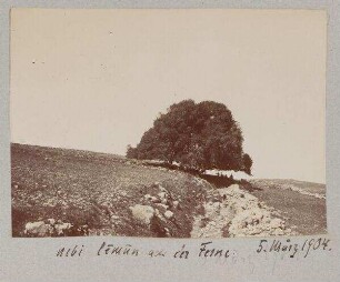 nebi limun aus der Ferne. 5. März 1904.