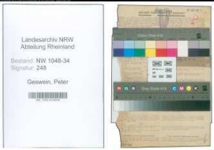 Entnazifizierung Peter Geswein , geb. 11.02.1894 (Arzt)