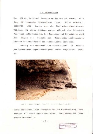 3.2. Morphologie.