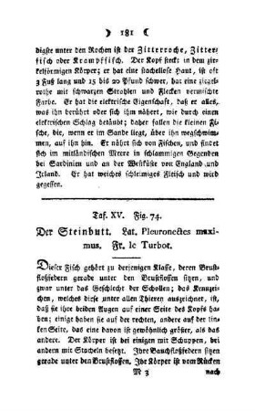 ¬Der¬ Steinbutt : Taf. XV, Fig. 74
