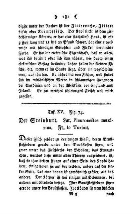 ¬Der¬ Steinbutt : Taf. XV, Fig. 74