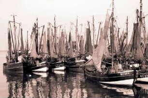Cuxhaven: Fischkutter im Hafen